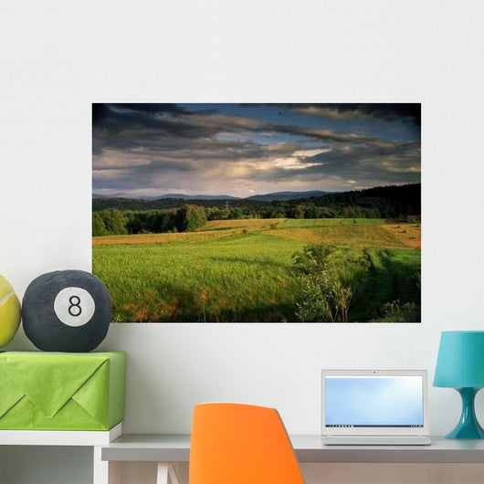 Green Field Landscape at Sunset Wall Decal