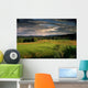 Green Field Landscape at Sunset Wall Decal