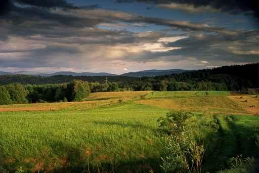 Green Field Landscape at Sunset Wall Decal