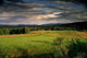 Green Field Landscape at Sunset Wall Decal