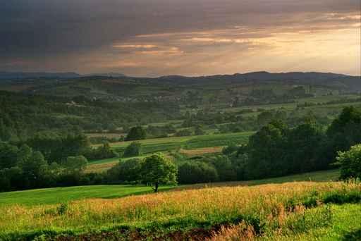 Wide Open Rolling Hills Landscape Wall Decal