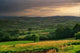 Wide Open Rolling Hills Landscape Wall Decal