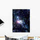Sky with Stars Wall Decal