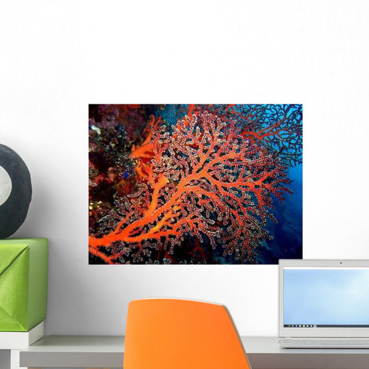 Red Coral Wall Decal