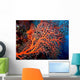 Red Coral Wall Decal
