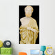 buste d'hippocrate Wall Mural