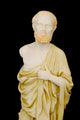 buste d'hippocrate Wall Mural