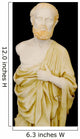 buste d'hippocrate Wall Mural