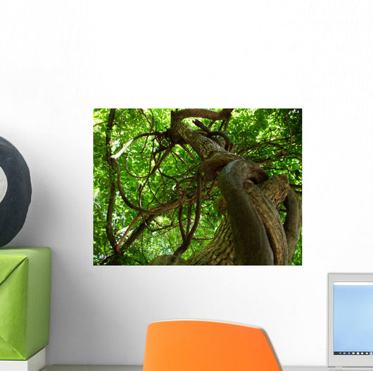 tree Wall Mural