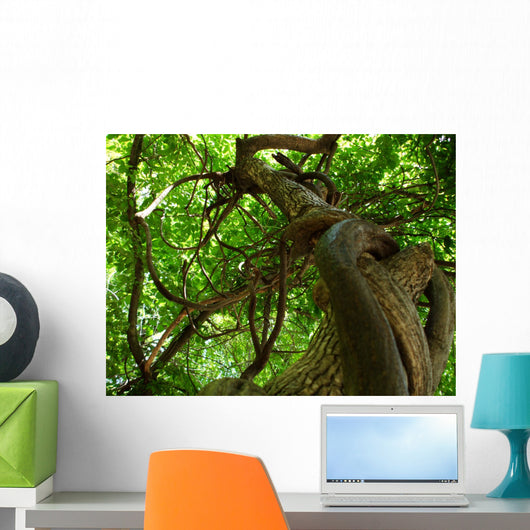 tree Wall Mural