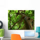 tree Wall Mural