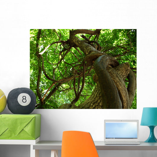 tree Wall Mural