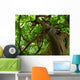 tree Wall Mural