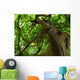 tree Wall Mural
