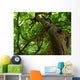 tree Wall Mural