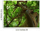 tree Wall Mural