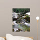 Beautiful Brook Wall Mural