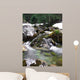 Beautiful Brook Wall Mural