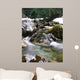 Beautiful Brook Wall Mural