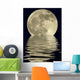 2400mm True Full Moon Wall Mural