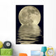 2400mm True Full Moon Wall Mural