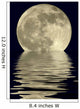 2400mm True Full Moon Wall Mural