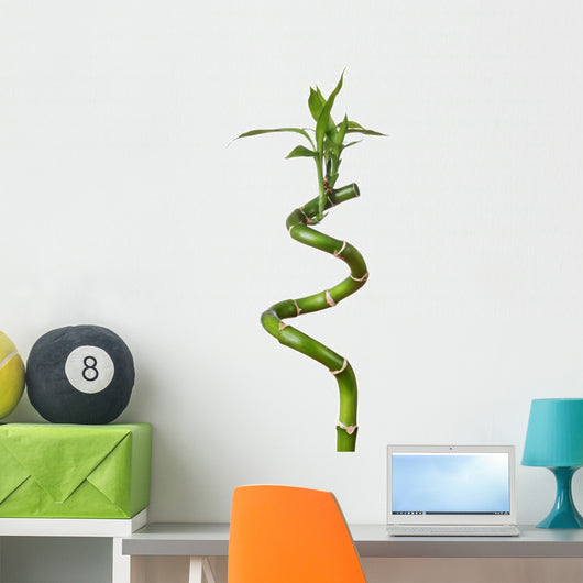 lucky bamboo white Stem Lucky Bamboo White Wall Decal – Wallmonkeys