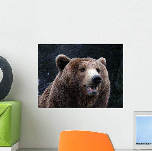 Brown Bear Wall Mural