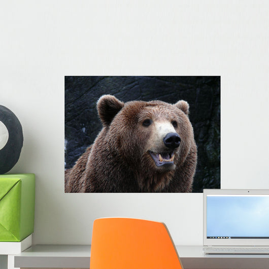 Brown Bear Wall Mural