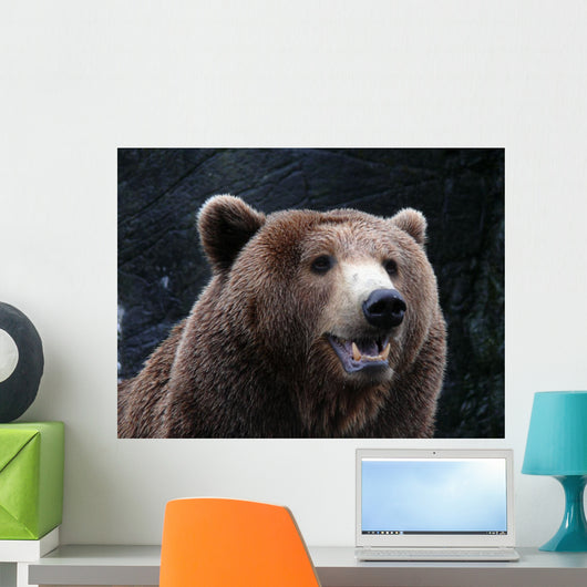 Brown Bear Wall Mural