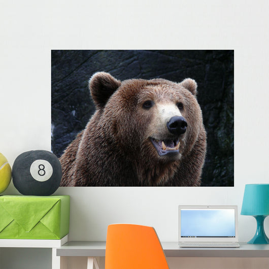 Brown Bear Wall Mural