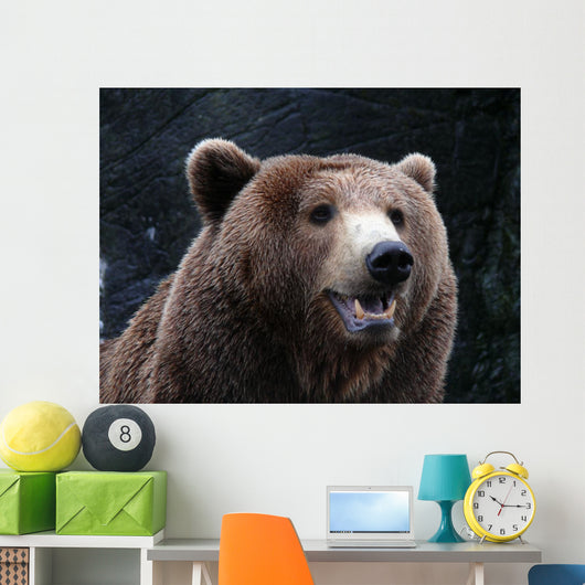 Brown Bear Wall Mural