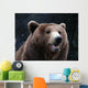Brown Bear Wall Mural