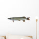 Pike