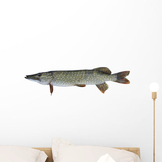 Pike