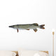 Pike
