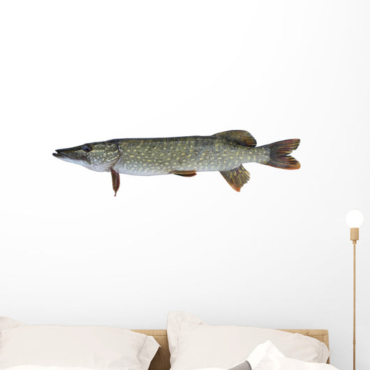 Pike