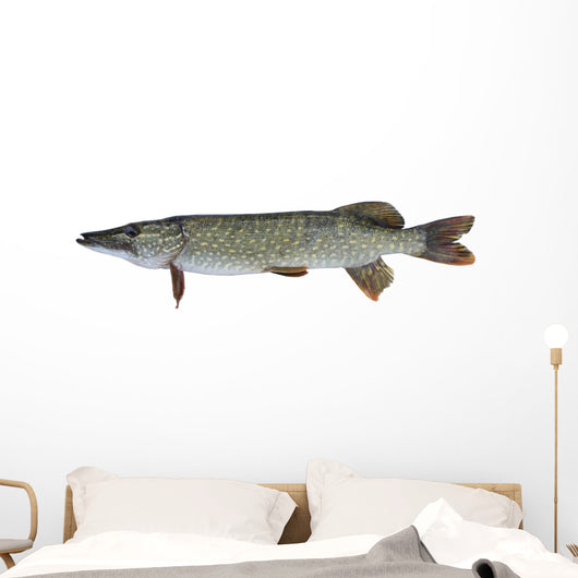 Pike