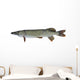 Pike