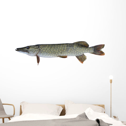 Pike
