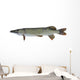 Pike
