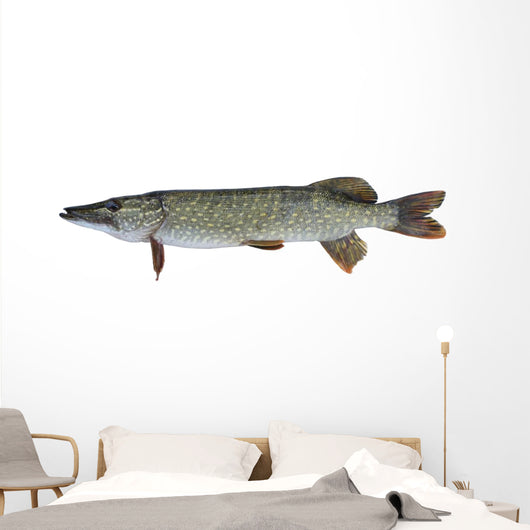 Pike