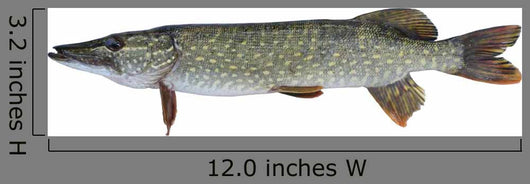 Pike