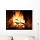fire in a fireplace Wall Mural