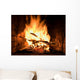 fire in a fireplace Wall Mural