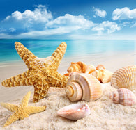 Starfish and Seashells Beach