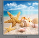 Starfish and Seashells Beach