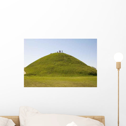 Hill Sunny Day Wall Decal