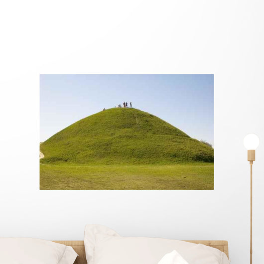 Hill Sunny Day Wall Decal