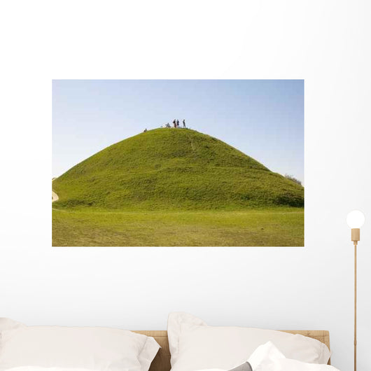 Hill Sunny Day Wall Decal